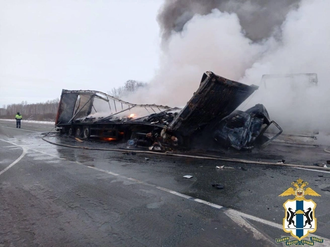 Два автомобиля выгорели практически дотла | Источник: Пресс-служба ГУ МВД России по Новосибирской области