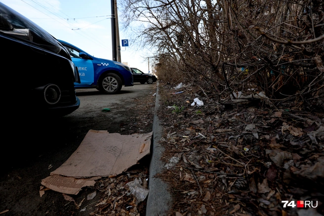 Мусором завалена и парковка | Источник: Наталья Лапцевич