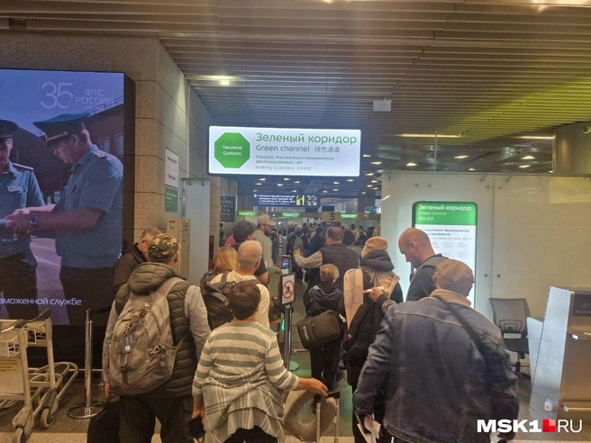 Очередь в зеленый коридор | Источник: Софья Рябикина / MSK1.RU