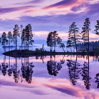 Аватарка greenevmah1981