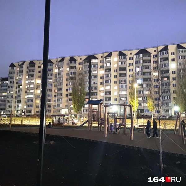 Источник: Сергей Гендин / 164.RU