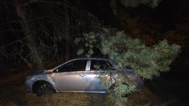 Источник: t.me/mvd36