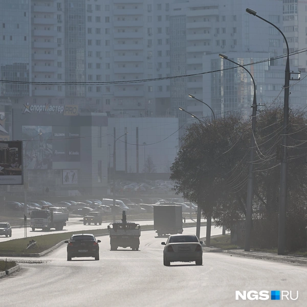 Дождь и ветер могли бы улучшить ситуацию | Источник: Александр Ощепков / NGS.RU