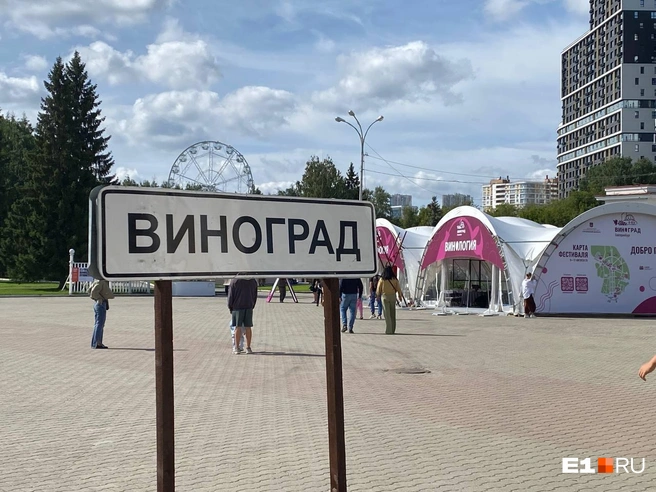 Источник: Екатерина Маврина / E1.RU