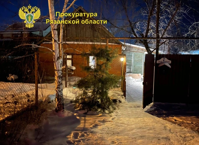 Конфликт с поножовщиной и стрельбой по преступнику произошел в Борках | ya62.ru
