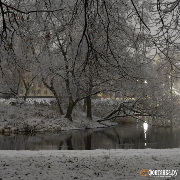 Источник: Сергей Николаев / «Фонтака.ру»