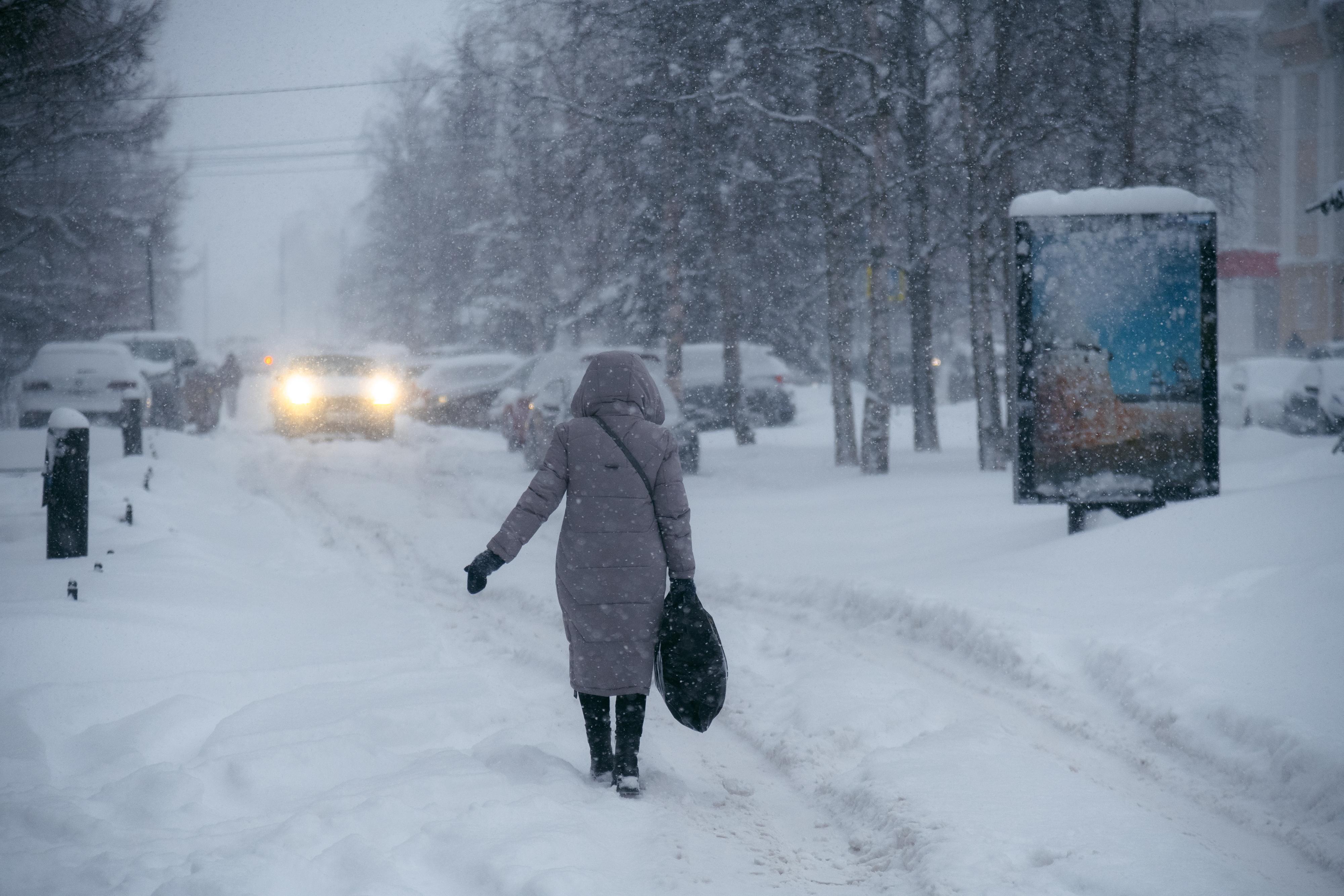 Архангельск замело снегом: куда жаловаться на плохую уборку улиц