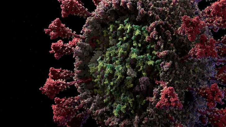 Подробная и очень красивая 3D-модель коронавируса (видео)