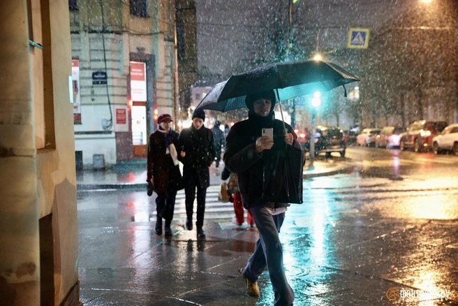 Петербург готовится к резкой смене погоды. МЧС говорит об ухудшении | Источник: Сергей Михайличенко / FONTANKA.RU