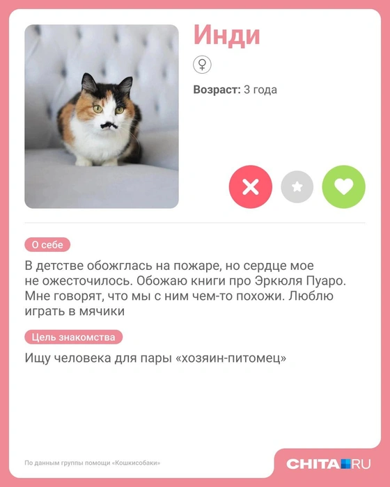 Источник: Юрий Скулыбердин / Городские медиа