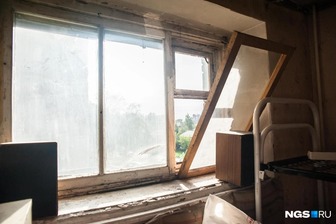 Трагедия случилась этой осенью | Источник: Ольга Бурлакова / NGS.RU