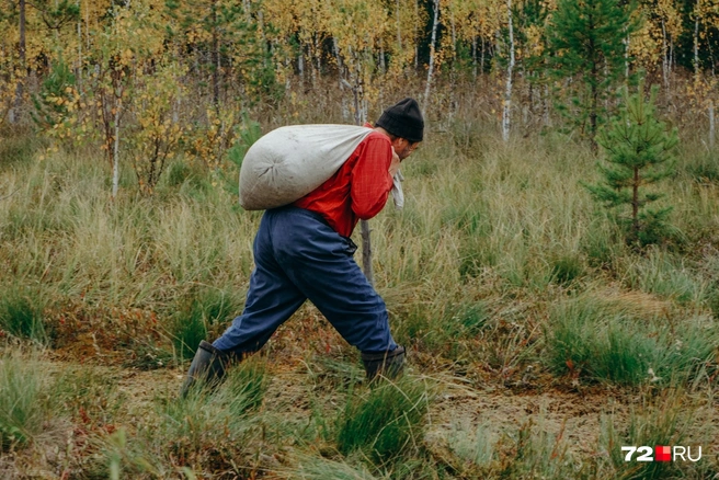 Клюква, рыбалка, подработка в городе. Жизнь жителей Заболотья идет по одному кругу | Источник: Анастасия Малышкина / 72.RU