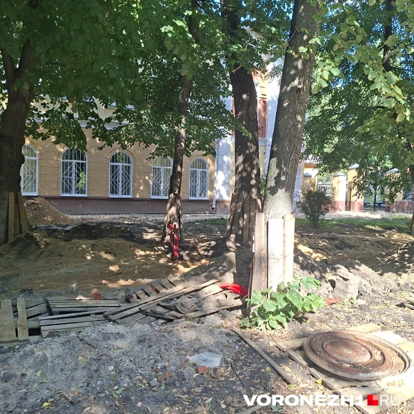 Источник: Алёна Воропаева / Voronezh1.ru