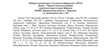 Источник: избирательная комиссия Воронежской области / Voronezh.izbirkom.ru