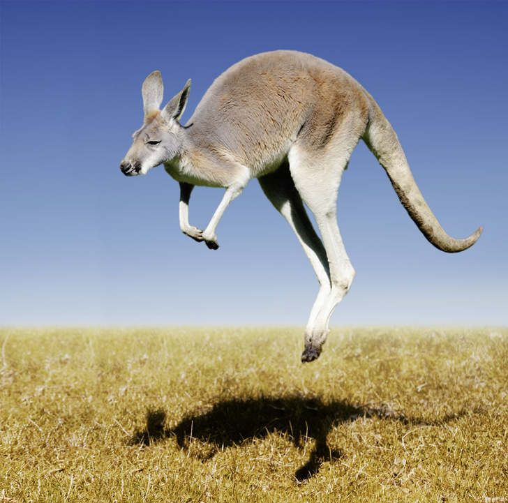 iStock