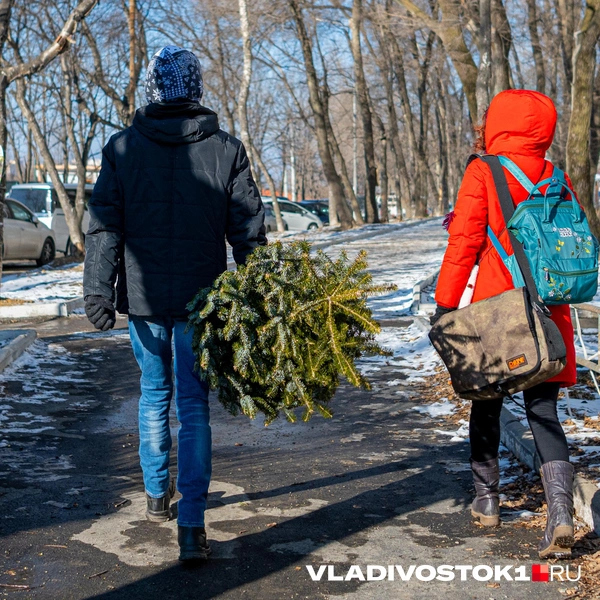 Источник: Елена Буйвол / VLADIVOSTOK1.RU