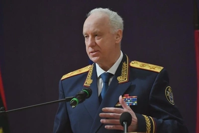 Глава СК запросил доклад о нападении на девочку