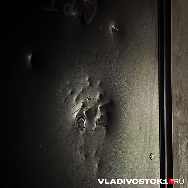 Источник: Елена Буйвол / VLADIVOSTOK1.RU