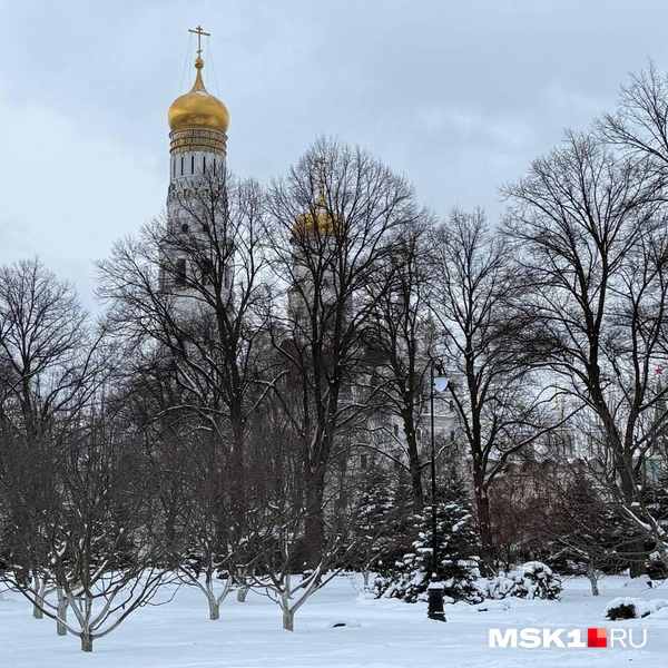Большой Кремлевский сквер зимой не так живописен, как летом | Источник: Артём Устюжанин / MSK1.RU