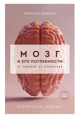 Вячеслав Дубынин «Мозг и его потребности 2.0: От питания до признания»