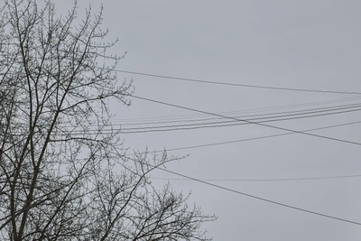 В Архангельской области из-за ветра и снега отключается свет