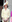 Фото №7 - Самые стильные образы на Trooping the Colour 2019