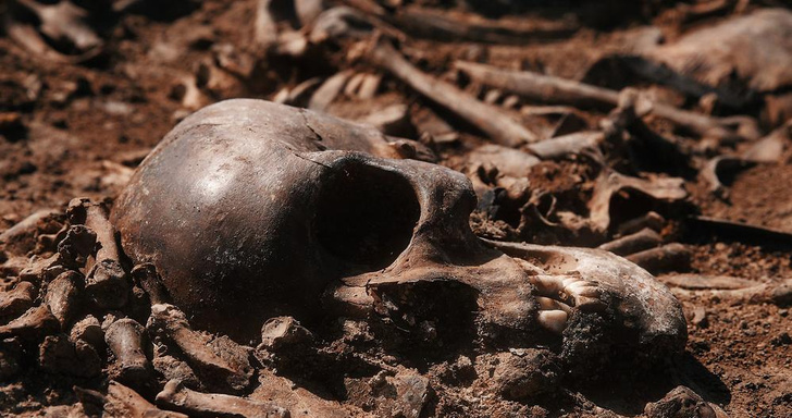 Ученые обнаружили в Мексике 5 скелетов людей невиданных ранее размеров