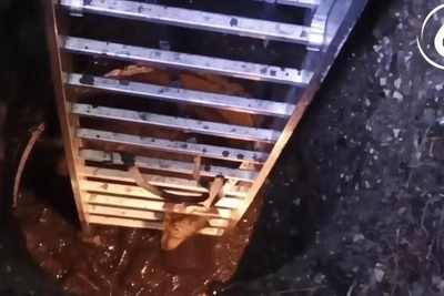 Сотрудники водоканала Сочи спасли собаку из 8-метрового колодца