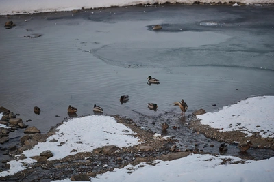 Март в Новосибирске: морозы и метели задержатся