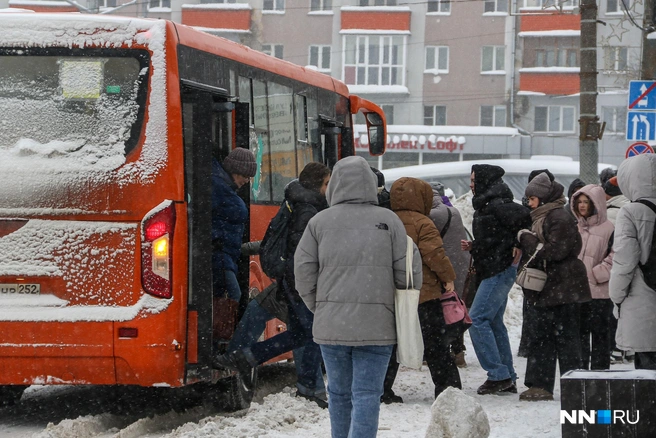 Качество нижегородского транспорта оценили высоко | Источник: Наталья Бурухина / NN.RU