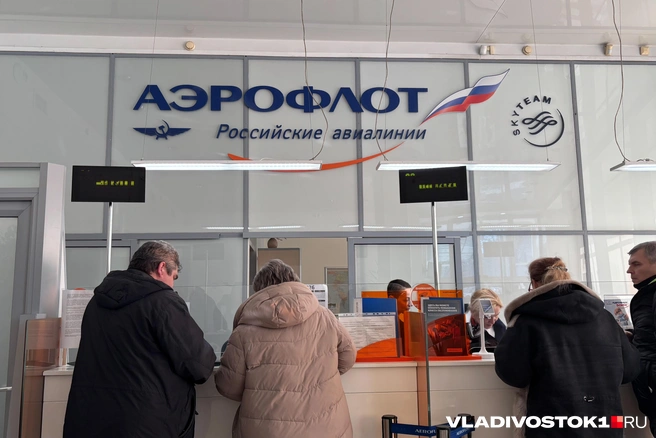Билеты можно смотреть на сайте перевозчика | Источник: Елена Буйвол / VLADIVOSTOK1.RU