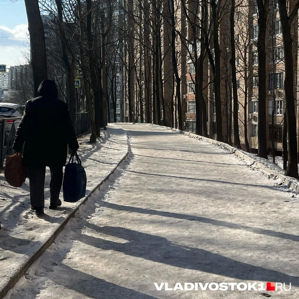 Источник: Елена Буйвол / VLADIVOSTOK1.RU
