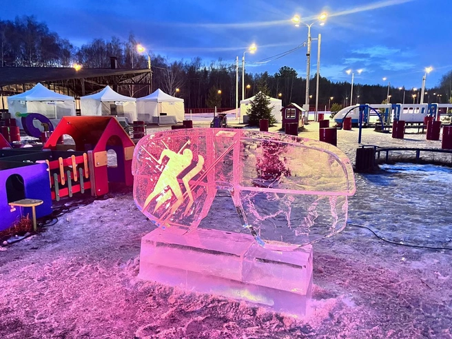 Мероприятие организовано при поддержке компании ТЕХНОНИКОЛЬ | Источник: ТЕХНОНИКОЛЬ