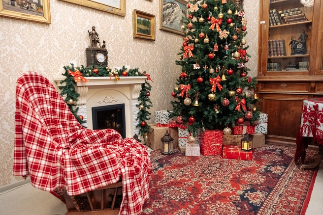 Что происходит с посуточным жильем в новогоднюю ночь? Разбираемся вместе | Источник: Елена Латыпова / NGS55.RU