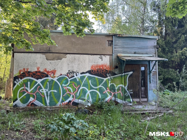 Источник: Алина Мельникова / MSK1.RU