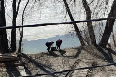Новосибирец спас тонущего в Оби мужчину палкой