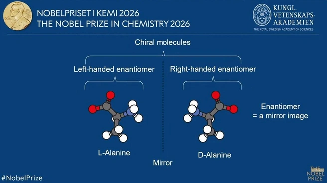 Визуализация зеркальных молекул (хиральности) | Источник: nobelprize.org