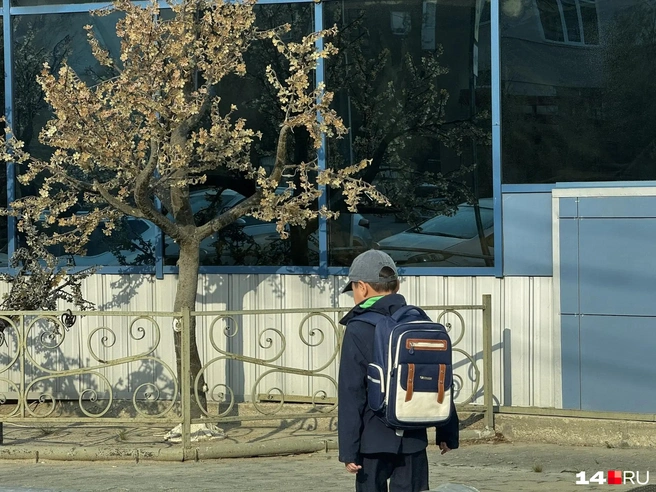Источник: Ольга Донская / 14.RU