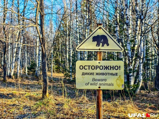 Чтобы не забывали, что места все-таки дикие | Источник: Булат Салихов / UFA1.RU