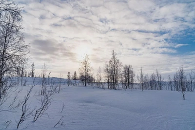 Штормовое предупреждение объявлено в Ямальском районе