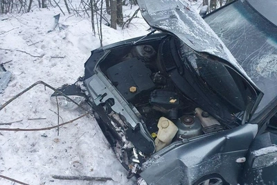 Пьяный водитель «Приоры» съехал в кювет в Воронежской области