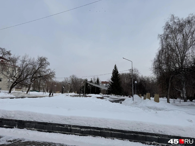В Кургане горсад может окончательно потерять свой облик | Источник: Юлия Король / 45.RU