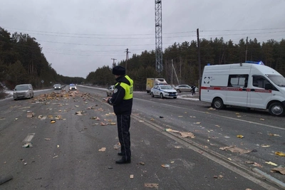 Смертельное ДТП с курами на трассе под Асбестом