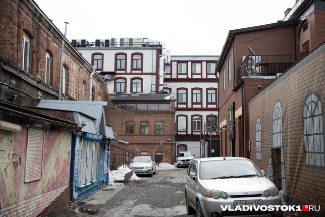 Источник: Елена Буйвол / VLADIVOSTOK1.RU