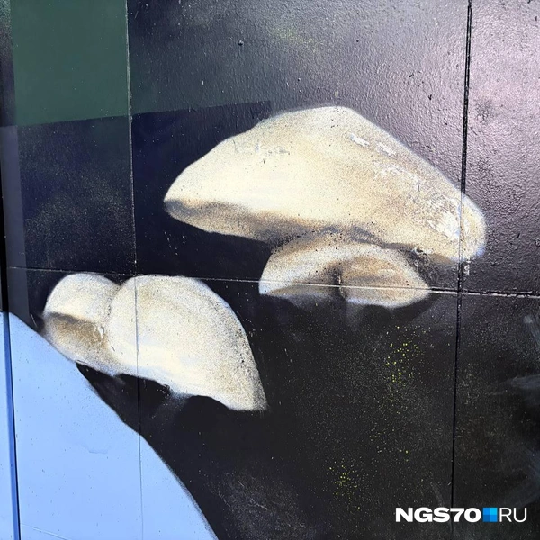 Источник: Мария Лобанова / NGS70.RU