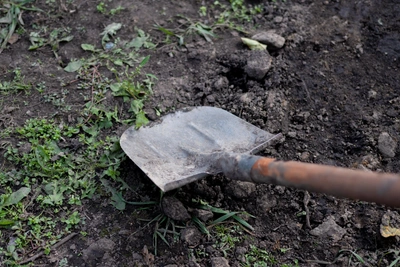 В Якутии зимой выросли продажи семян и мебели