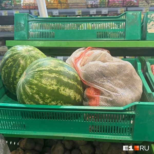 Другие рабузы положили рядом с картошкой | Источник: София Телегина / E1.RU