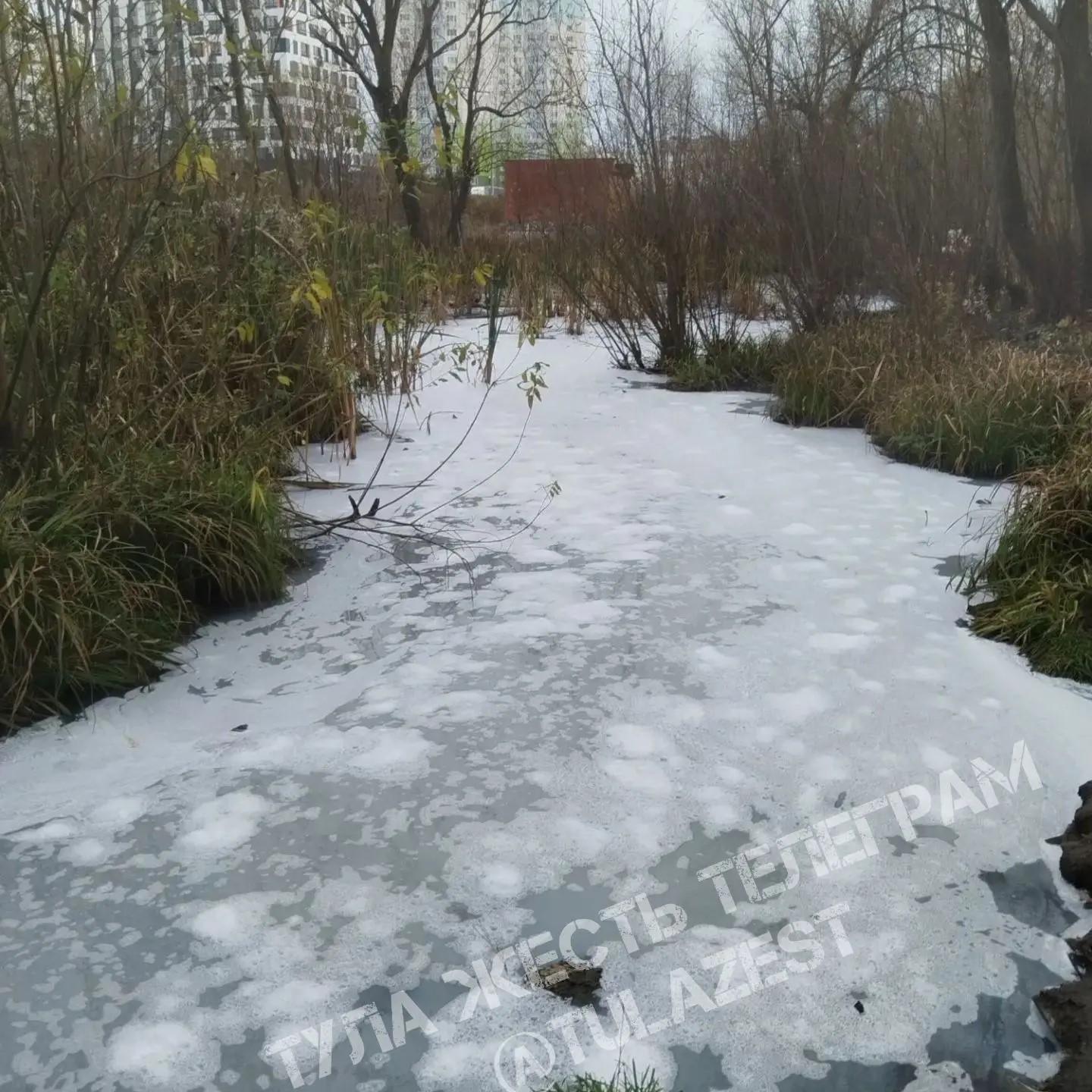 «Тухлый Дунай»: туляки вновь пожаловались на загаженный ручей в районе Хворостухина