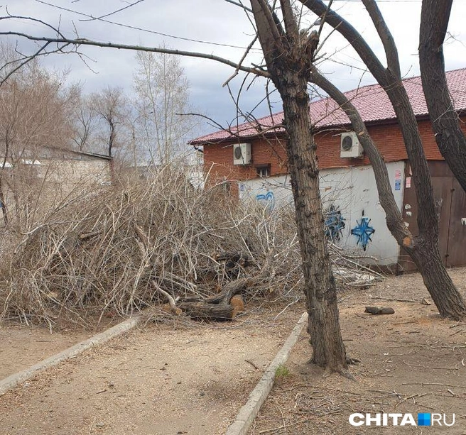Источник: очевидец