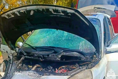 Под Лучесой спасли горящий автомобиль